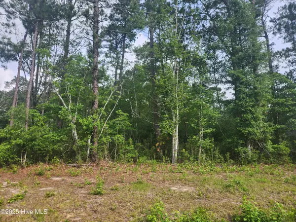 Calabash, NC 28467,519 Briarwood DR NW