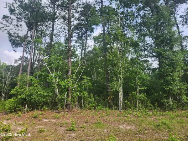 Calabash, NC 28467,519 Briarwood DR NW