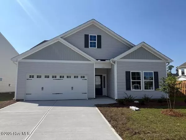 2310 Flowery Branch DR #Lot 253, Castle Hayne, NC 28429