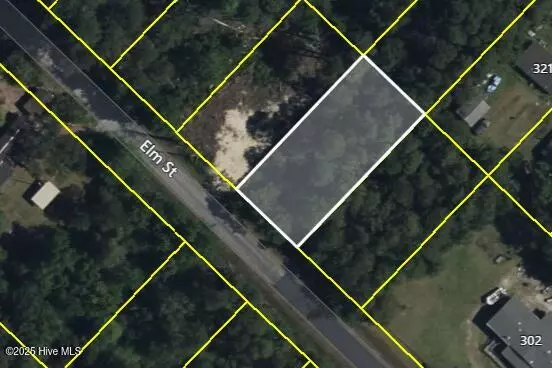 Boiling Spring Lakes, NC 28461,Lot 143 Elm RD
