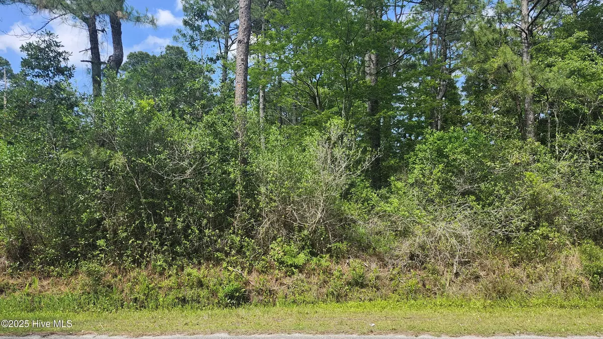 Boiling Spring Lakes, NC 28461,Lot 143 Elm RD