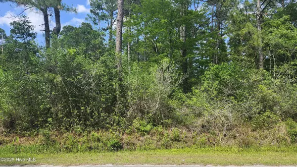 Lot 143 Elm RD, Boiling Spring Lakes, NC 28461