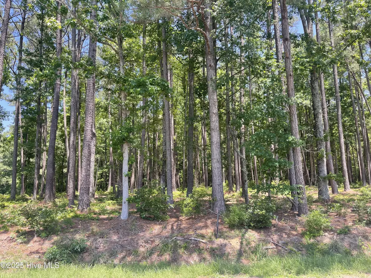 Spring Hope, NC 27882,0000 Edwards RD