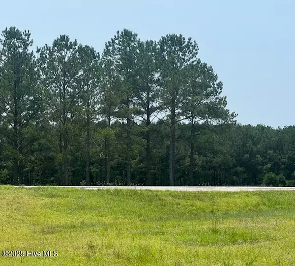 Hamlet, NC 28345,118 Pond Brothers RD