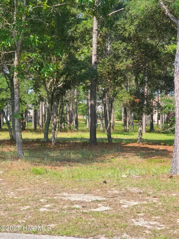 6597 Annesbrook PL SW, Ocean Isle Beach, NC 28469