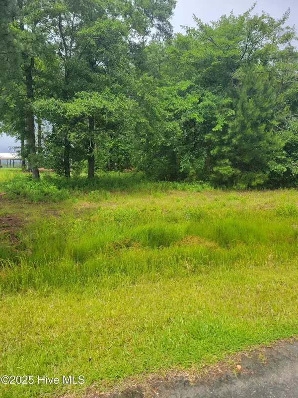Harrells, NC 28444,575 S Horsepen DR