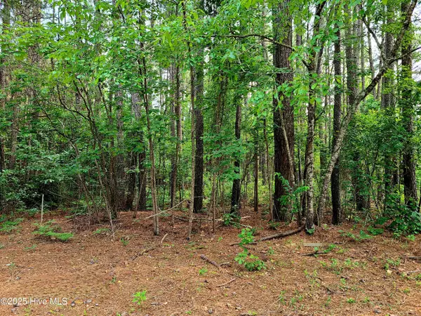 Roseboro, NC 28382,1 Myrtle RD