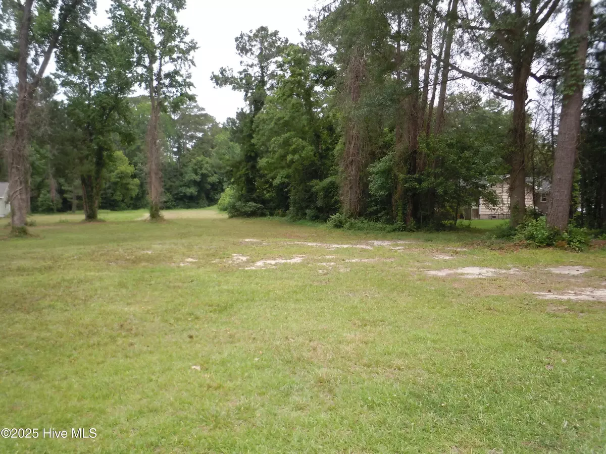 Tabor City, NC 28463,Tbd Near 503 Elizabeth ST