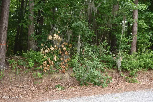 Blounts Creek, NC 27814,Lots 2 & 3 River RD