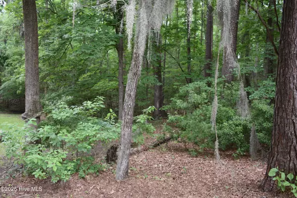Blounts Creek, NC 27814,Lot 6 River RD