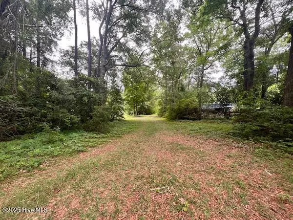 Rocky Point, NC 28457,Lot 1b 117 Highway Off Nc