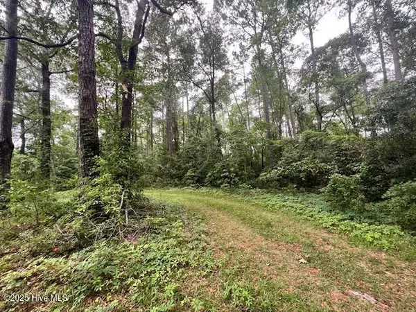 Rocky Point, NC 28457,Lot 1b 117 Highway Off Nc