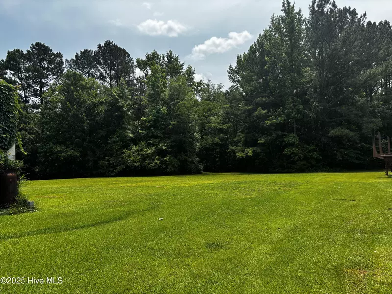 157 Gibbs AVE, Hollister, NC 27844
