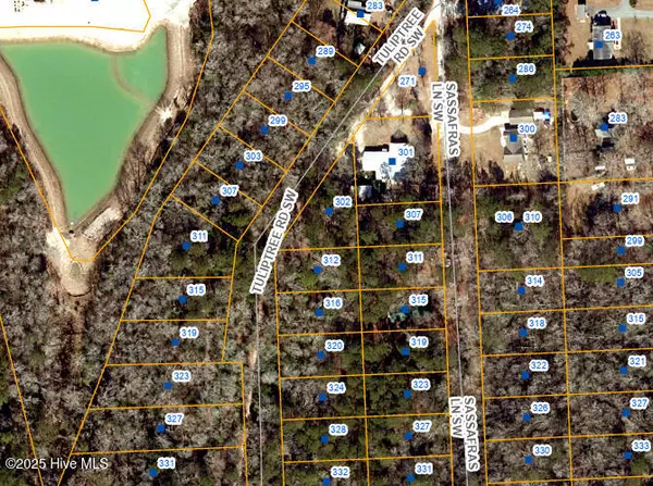 319 Tuliptree RD SW, Supply, NC 28462