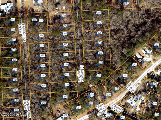 Supply, NC 28462,321 SW Dogwood TRL