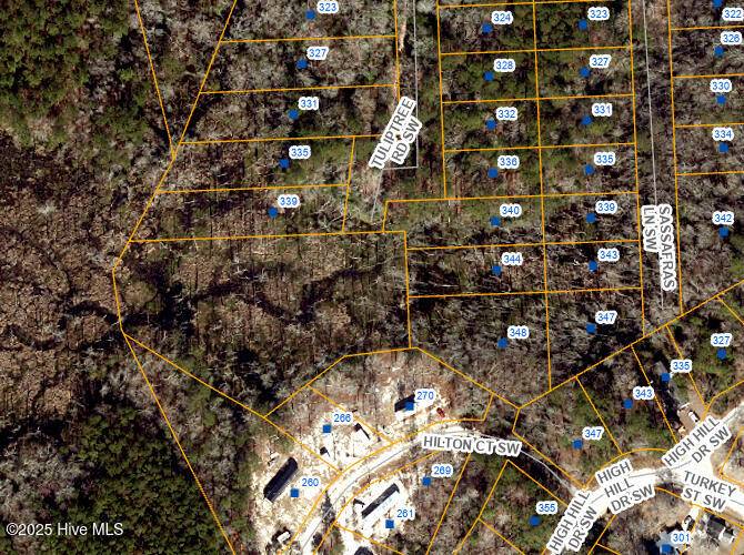 339 Tuliptree RD SW, Supply, NC 28462