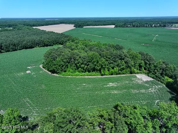 Red Springs, NC 28377,Tbd Highway 71