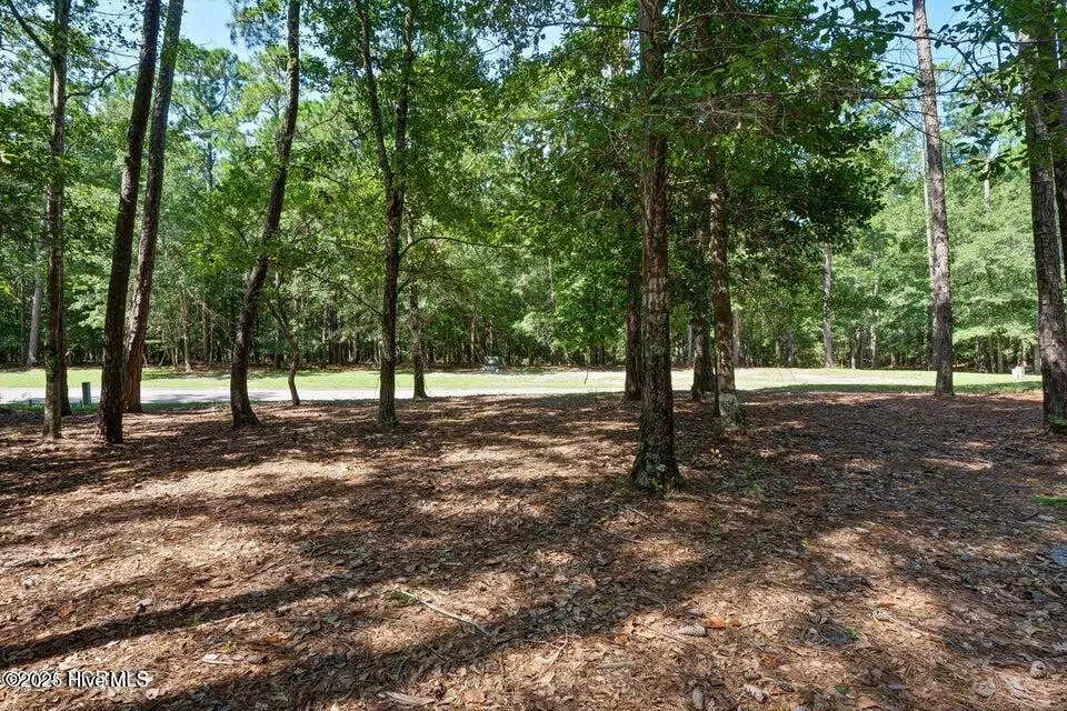 Shallotte, NC 28470,2161 Arnold Palmer DR