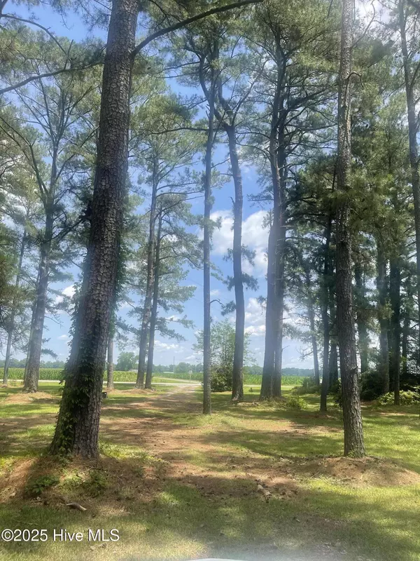 Trenton, NC 28585,0 Highway 58 N