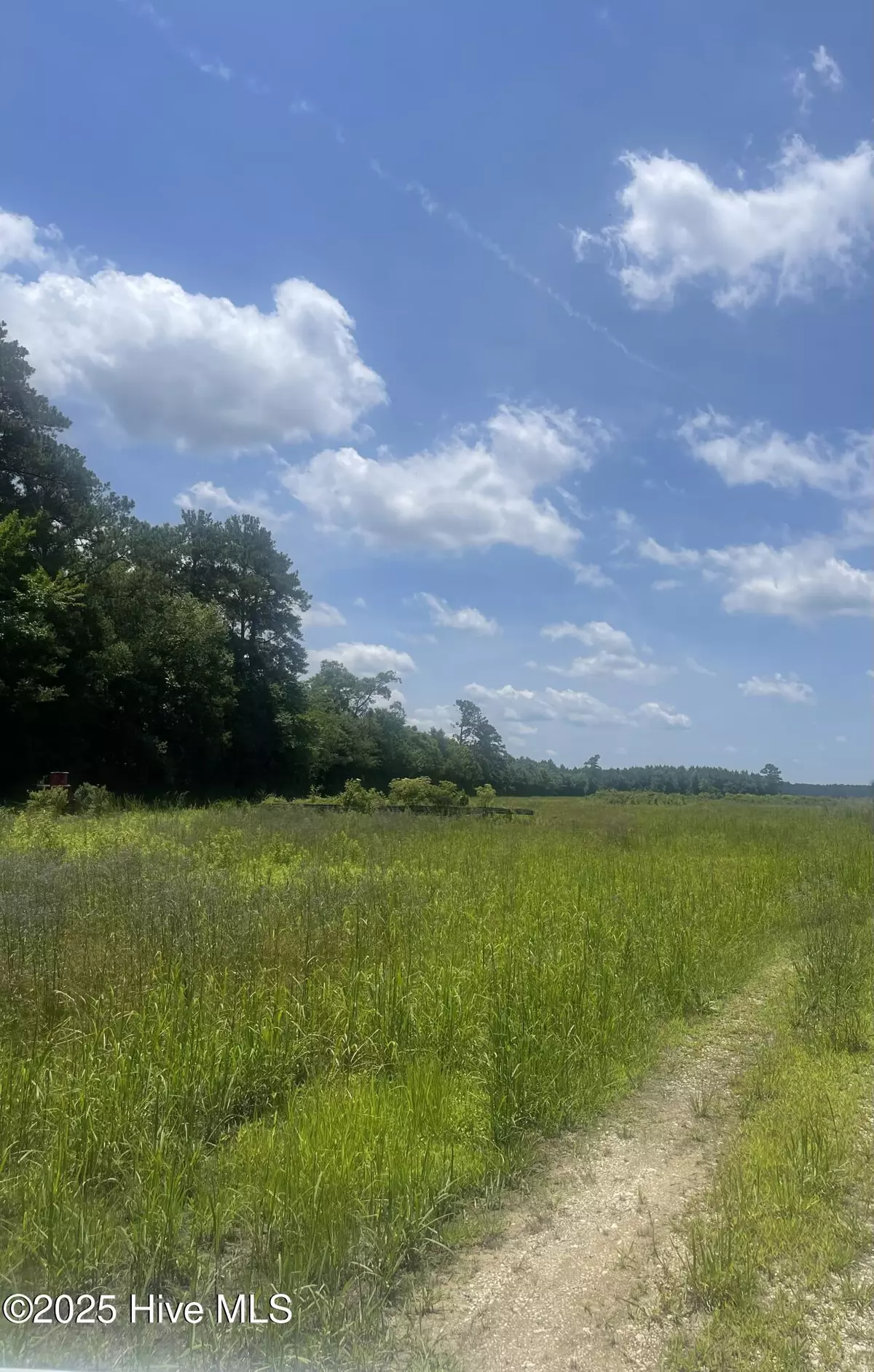 Trenton, NC 28585,0 Highway 58 N