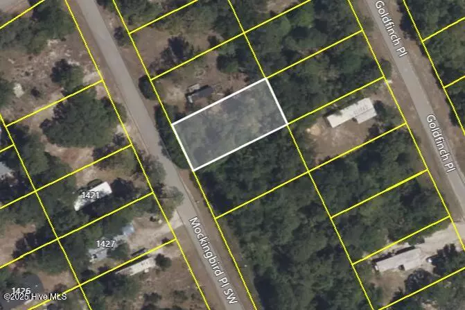 Shallotte, NC 28470,1422 Mockingbird PL SW