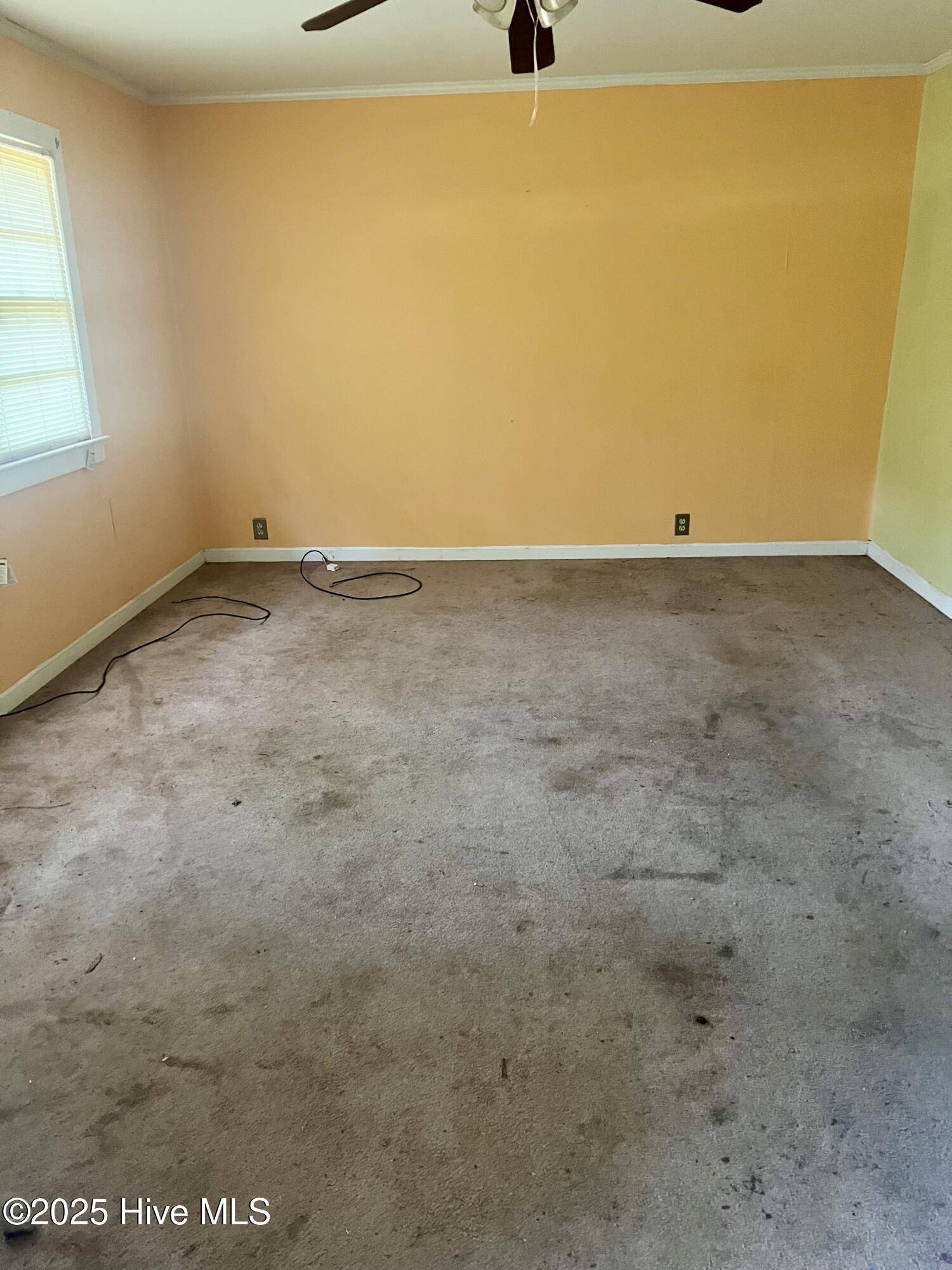 Princeville, NC 27886,210 Greenwood BLVD