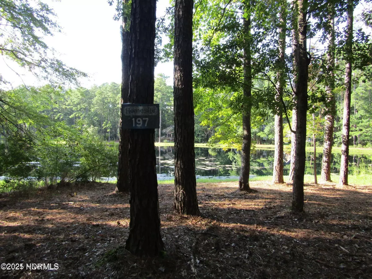 Washington, NC 27889,Lot 197 W Lakeview LN