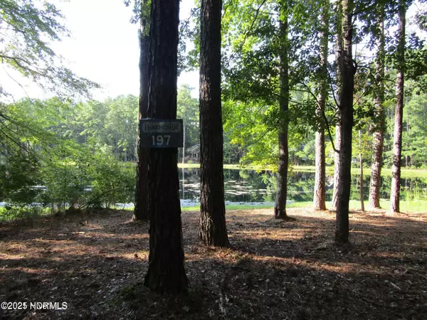 Lot 197 W Lakeview LN, Washington, NC 27889