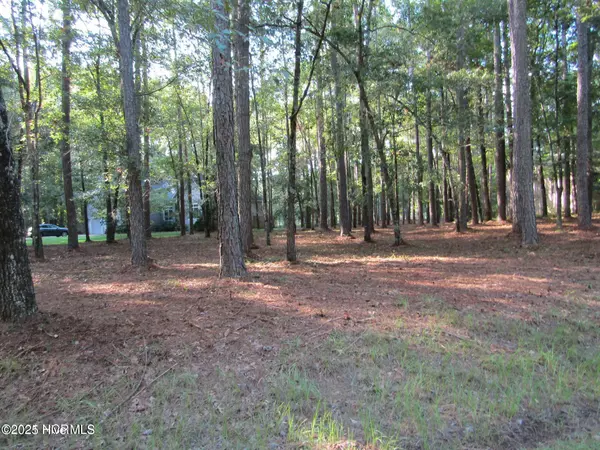 Washington, NC 27889,Lot 197 W Lakeview LN