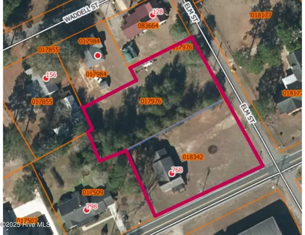 Fair Bluff, NC 28439,768 Academy ST