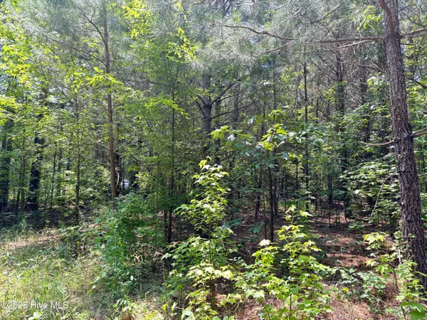 Como, NC 27818,Lot 25 Buckhorn Church RD