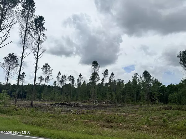 Whiteville, NC 28472,1381 Bill Hooks RD
