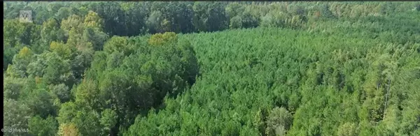 Marston, NC 28363,16369 Palmer RD