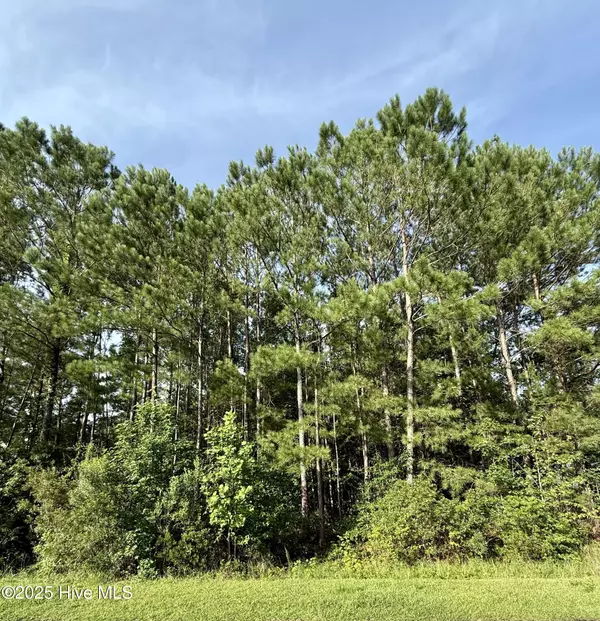 Havelock, NC 28532,111 Marie CT
