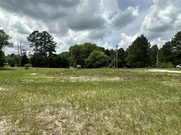 Laurel Hill, NC 28351,23301 Marston RD