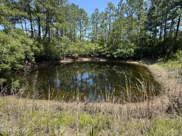 Shallotte, NC 28470,1388-1394 Bluebird TRL SW