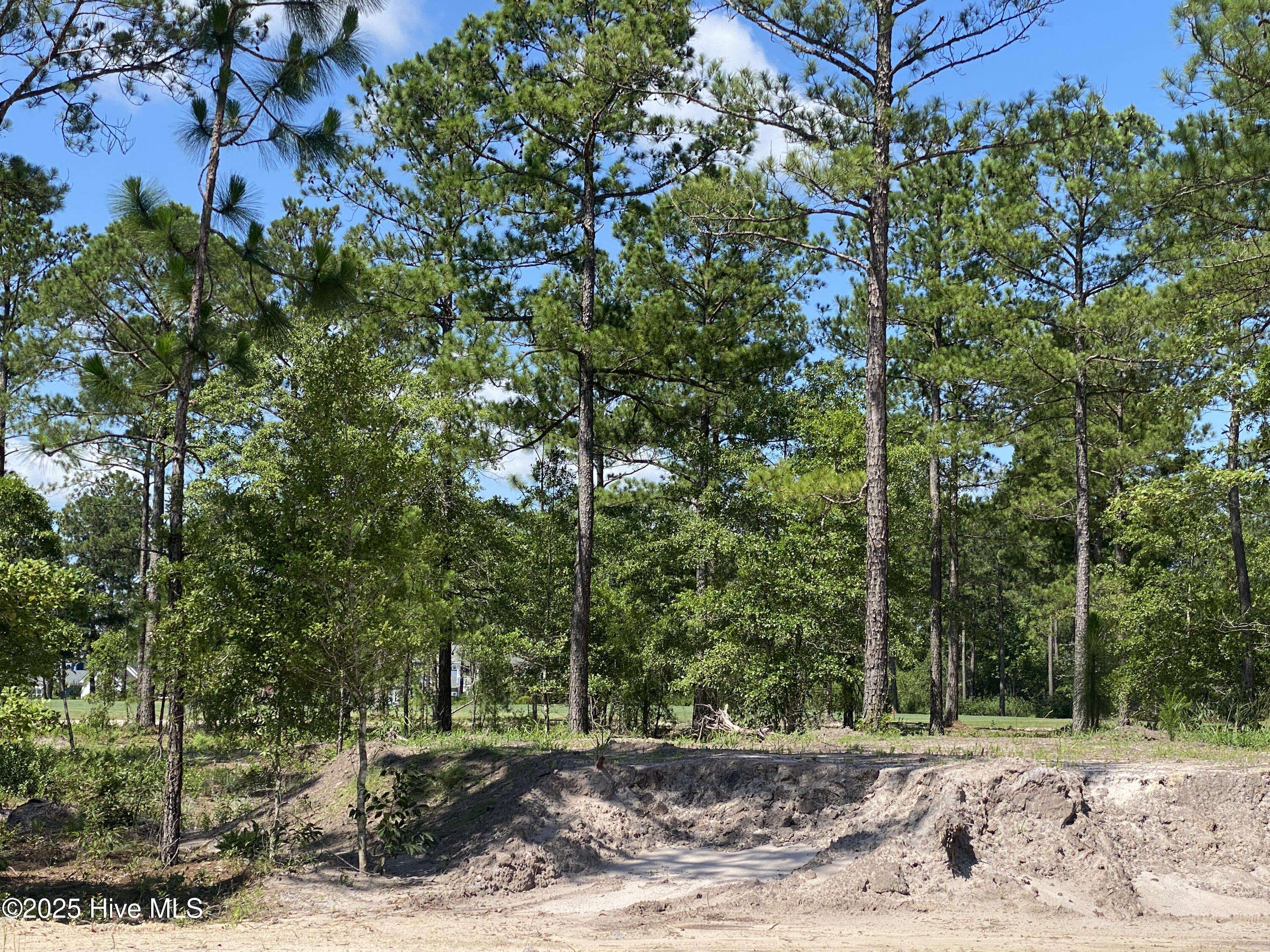 8747 Compass Pointe West Wynd NE, Leland, NC 28451