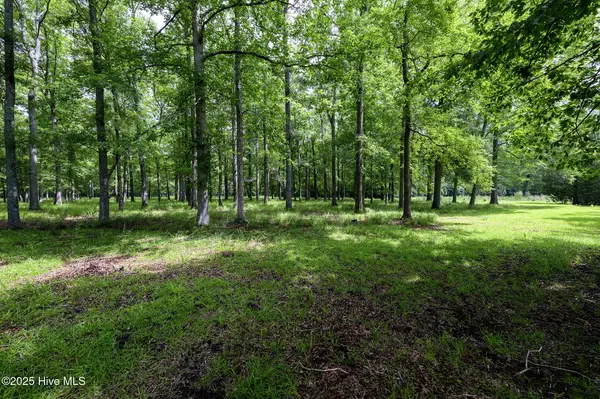 Ernul, NC 28527,205 Hudnell RD