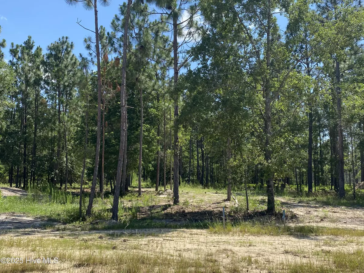 Leland, NC 28451,8738 Compass Pointe West Wynd NE