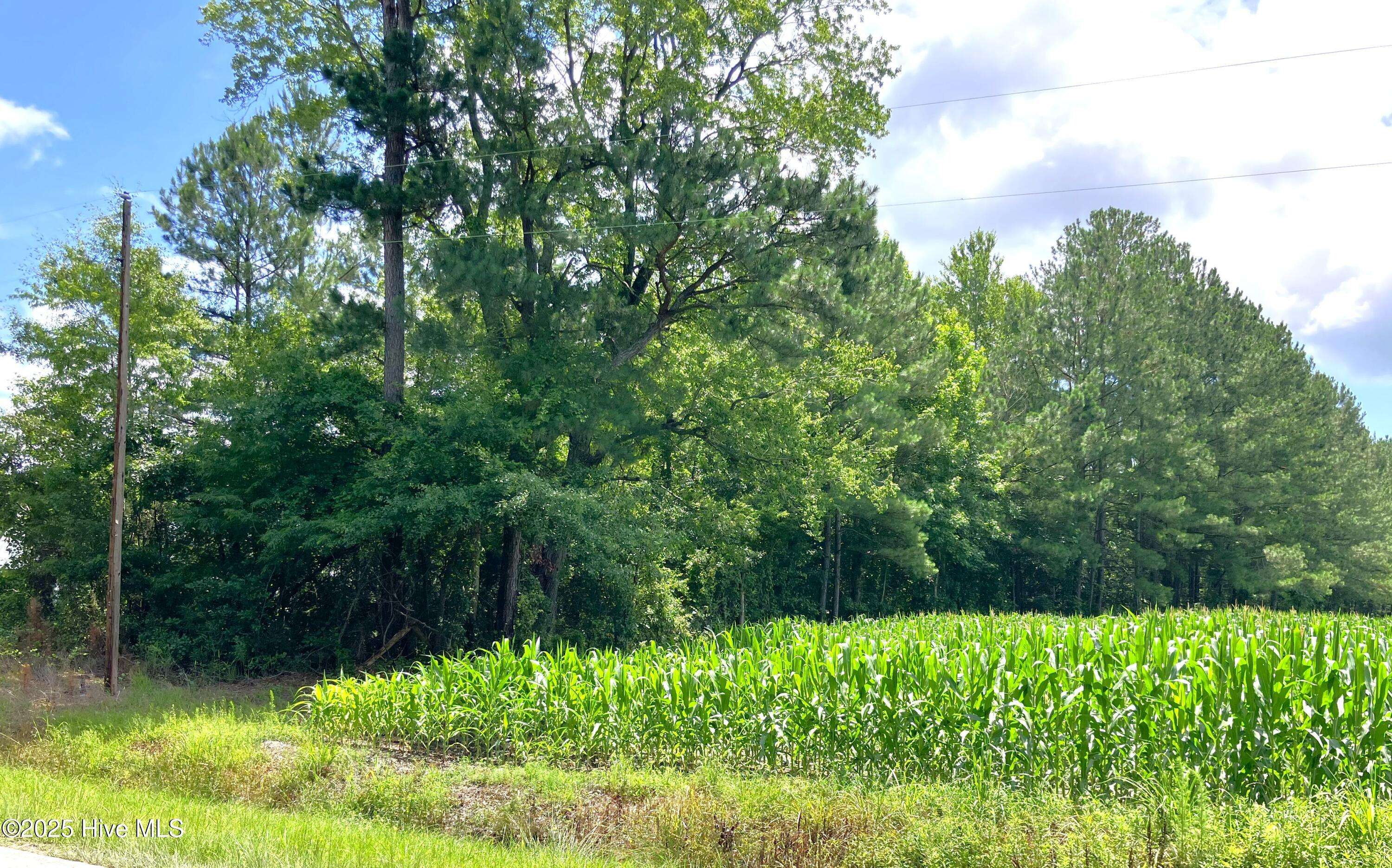 Maysville, NC 28555,294 Springhill RD