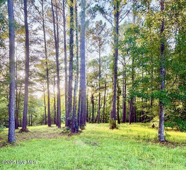 850 Southern Plantation DR N, Oriental, NC 28571