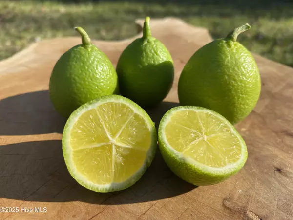 Whiteville, NC 28472,6005 James B White HWY