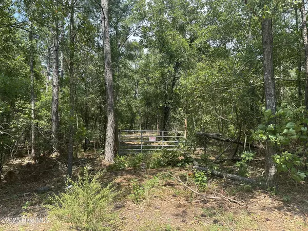 Ellerbe, NC 28338,718 Green Lake RD