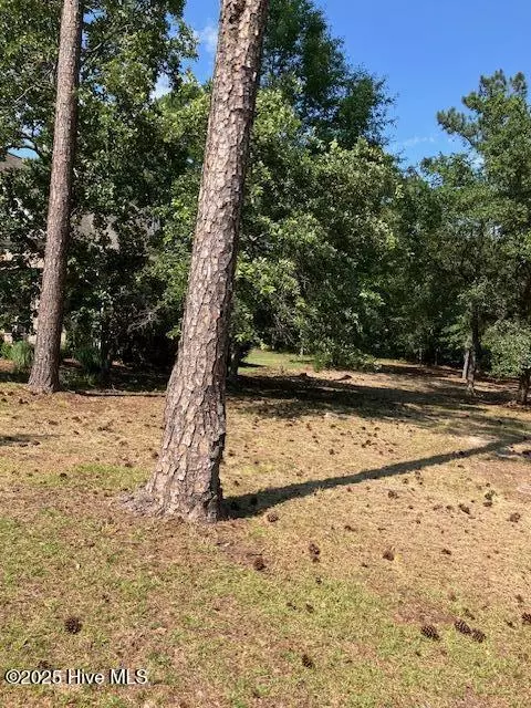 Bolivia, NC 28422,113 Plantation Passage DR SE