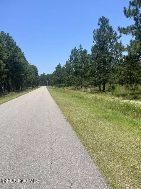 Jackson Springs, NC 27281,Lot B Shaver LN