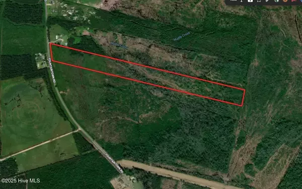 28.6 Acres Fountaintown Road, Beulaville, NC 28518