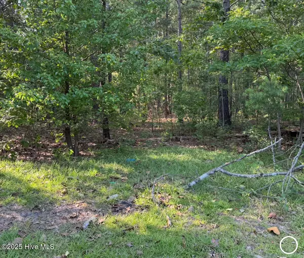 Hamlet, NC 28345,364 Ponderosa DR