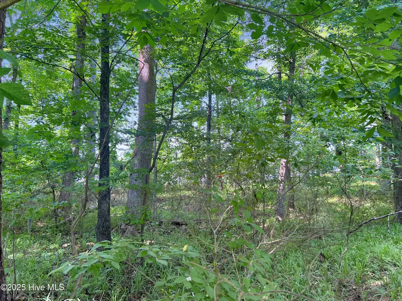 124 Windsong PT, Edenton, NC 27932