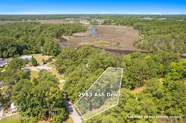 Shallotte, NC 28470,2983 Ash DR SW