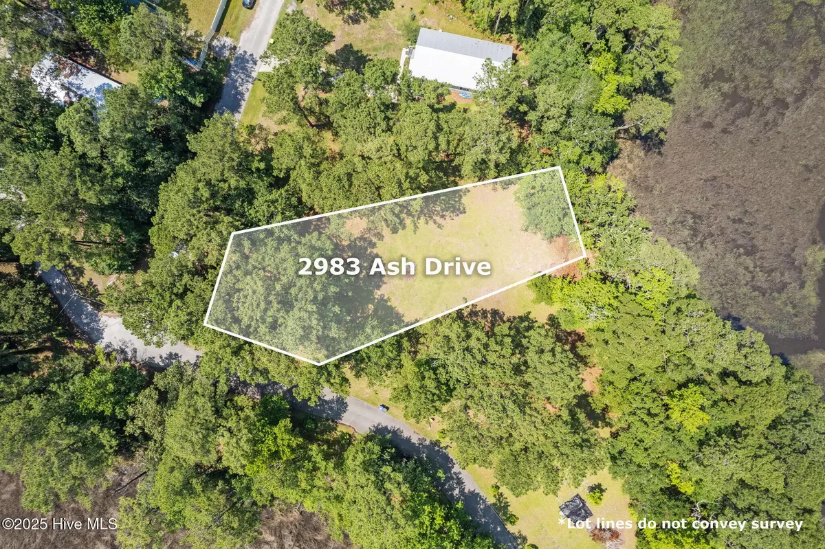 Shallotte, NC 28470,2983 Ash DR SW